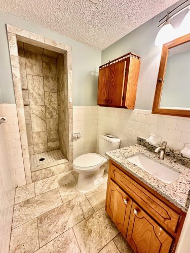 Lower Level Master Suite Full Bathroom