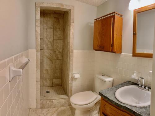 Lower Level Master Suite Full Bathroom
