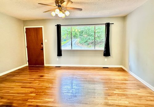 Living Room & Entrance